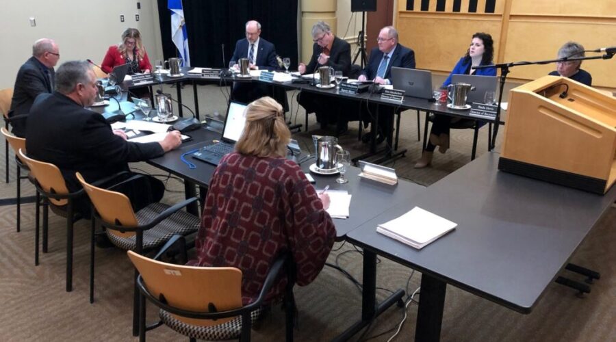 Councillors exploring adding powers to Committee of the Whole