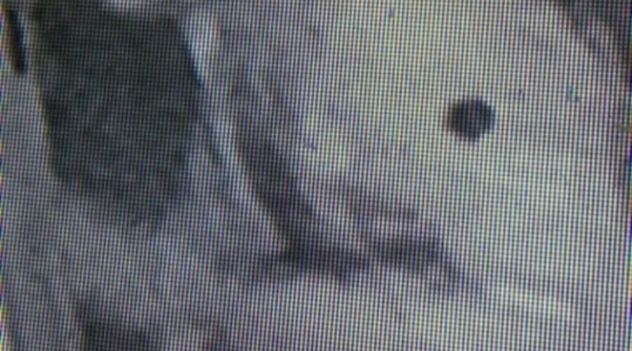 Police seek public’s help following D’Escousse break-in