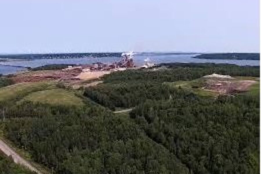 Northern Pulp to continue with environmental assessment