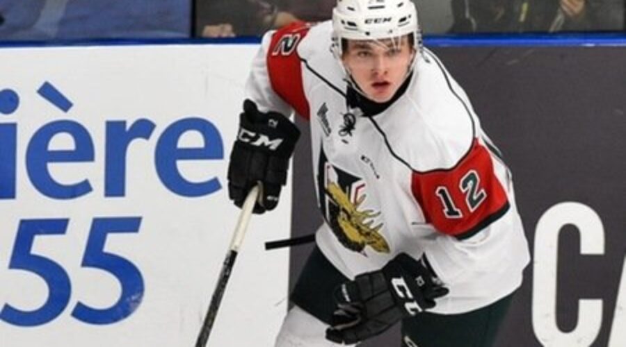 X-Men, X-Women announce hockey recruits