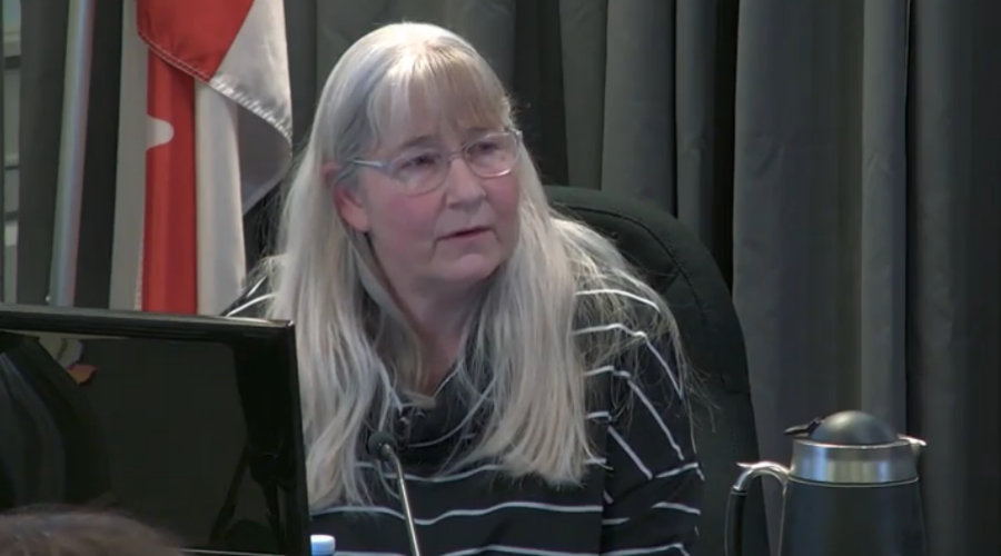 Crisis nurse called to testify at Desmond Inquiry