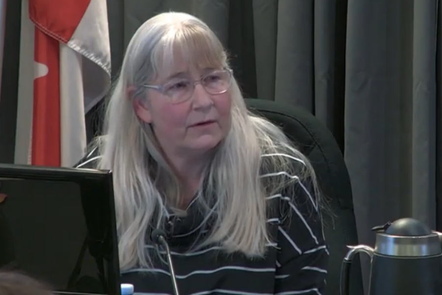 Crisis nurse called to testify at Desmond Inquiry