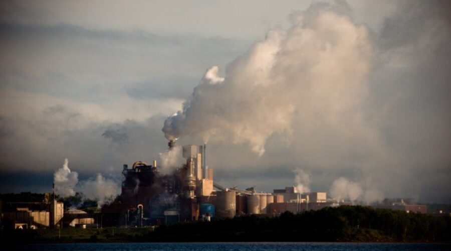 Northern Pulp Officials Say They Plan To Reopen Nova Scotia Mill In The Future