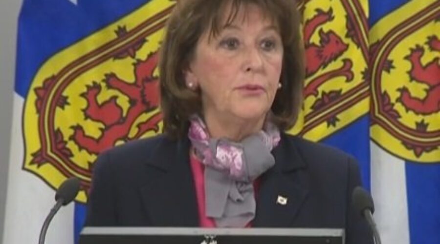 Provincial Liberals release 2020-21 budget