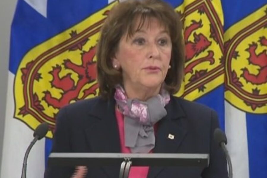 Provincial Liberals release 2020-21 budget
