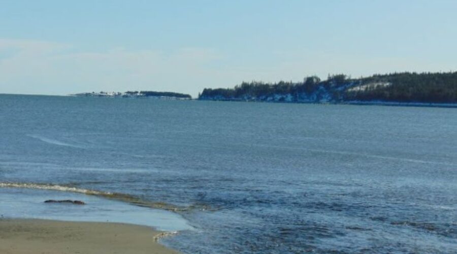 Director says sanctuary will improve quality of life for retired whales