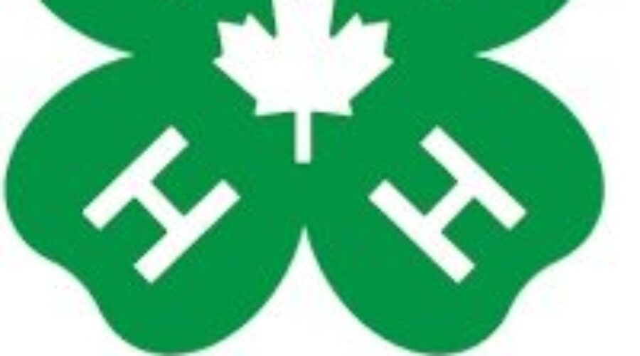 COVID-19 ends 4-H season