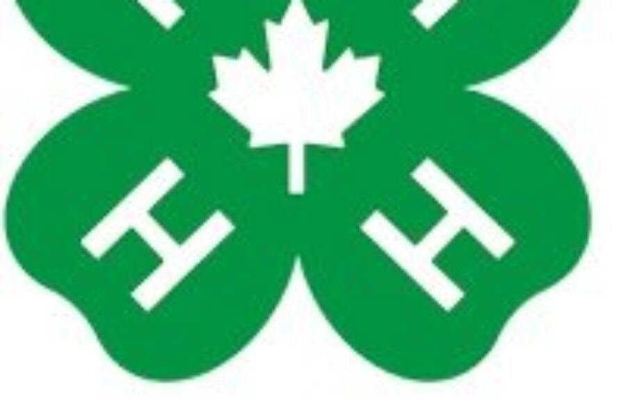 COVID-19 ends 4-H season