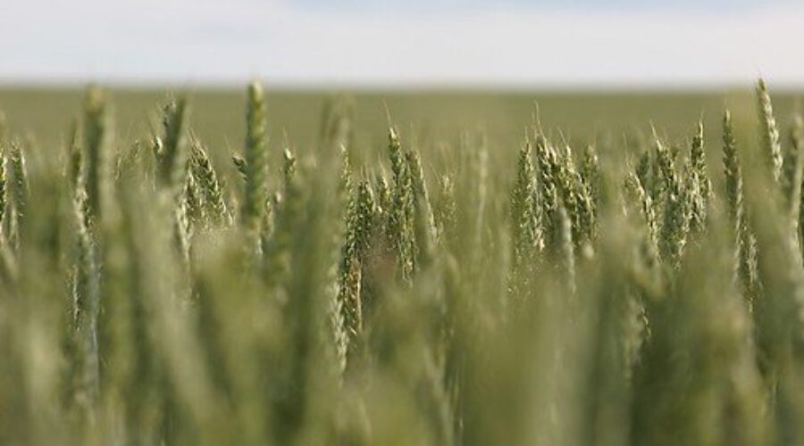 Agriculture Aid Package “Won’t Go Very Far”