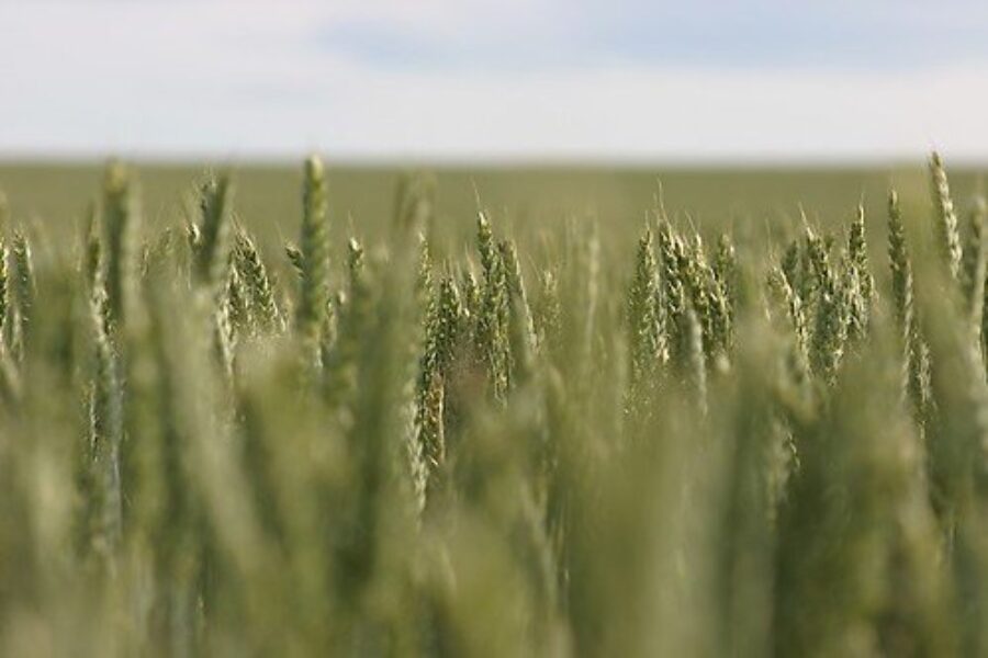 Agriculture Aid Package “Won’t Go Very Far”