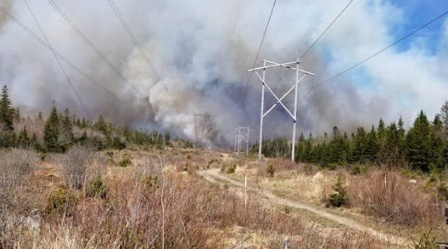 Antigonish Co. forest fire under control