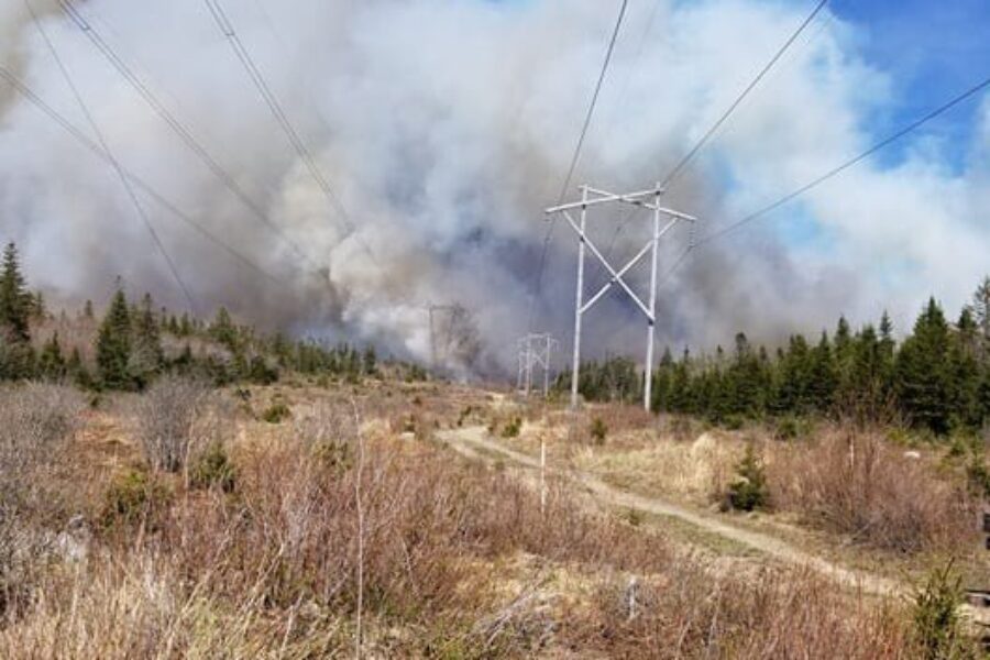 Update: Local forest fire now 100 per cent contained