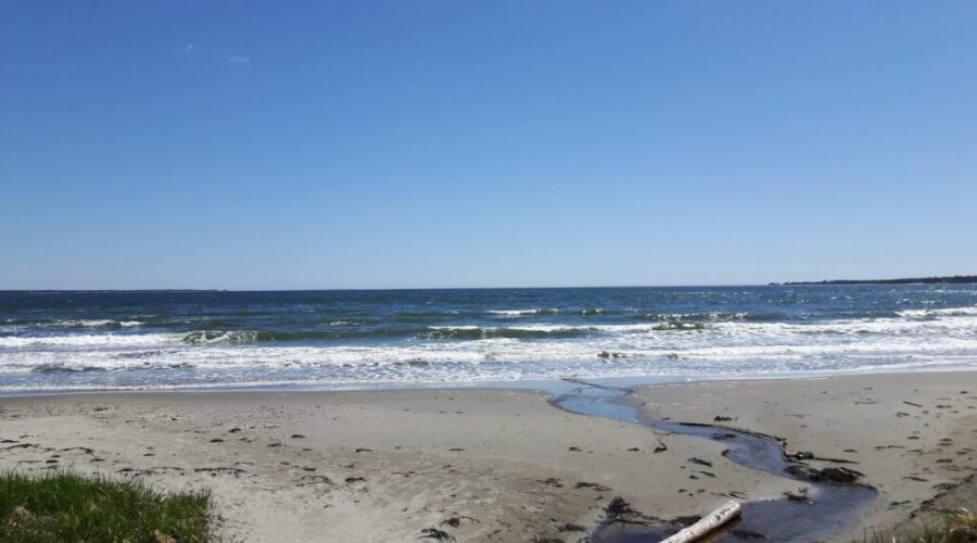 NS Beaches Will Have Lifeguards Starting Canada Day