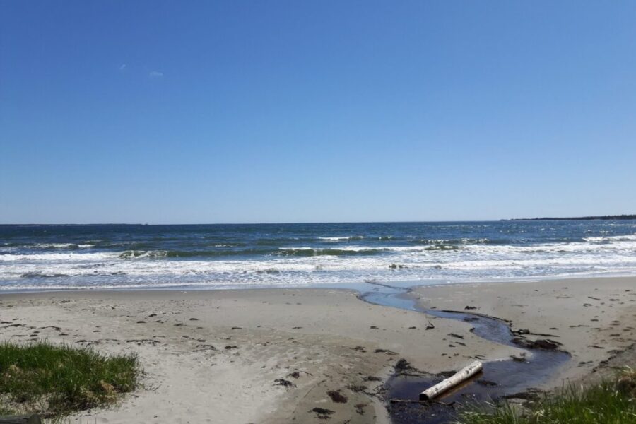 NS Beaches Will Have Lifeguards Starting Canada Day
