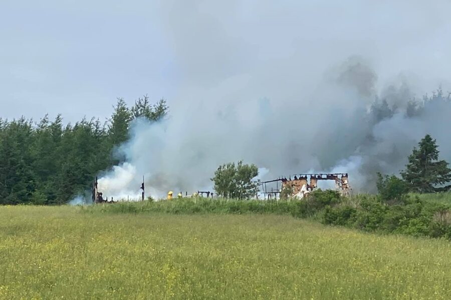 Judique mini home gutted by fire