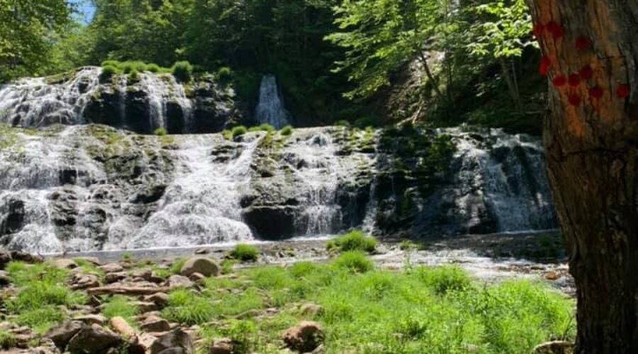 Rescue at Egypt Falls