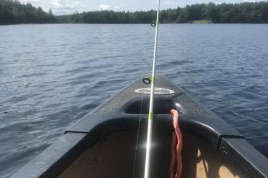 You Can Now Get Your Sportfishing Licence Online