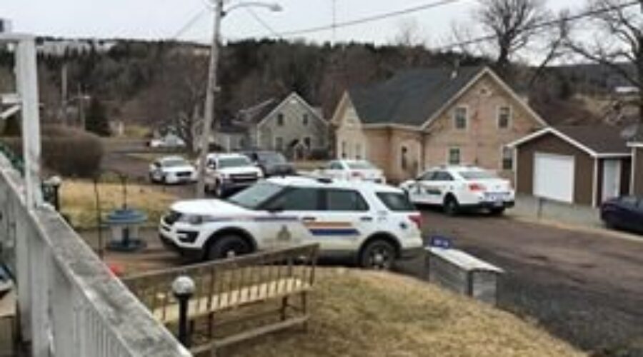 Mulgrave assault suspect sentenced