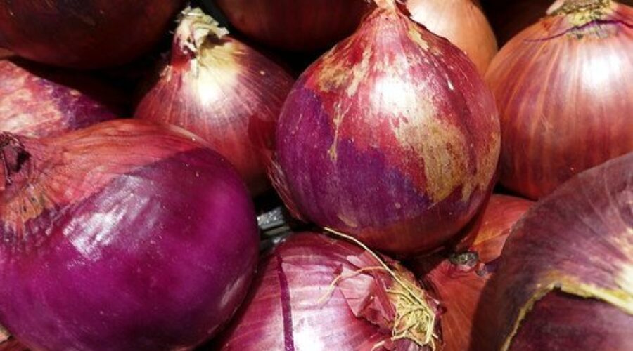 Onions Recalled In Salmonella Outbreak
