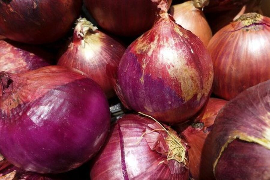 Onions Recalled In Salmonella Outbreak