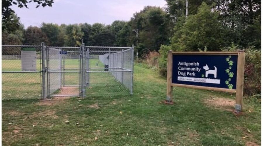 Local dog park quietly opens