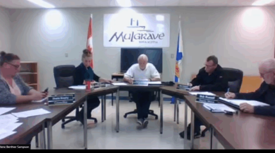 Mulgrave exploring potential burn bylaw