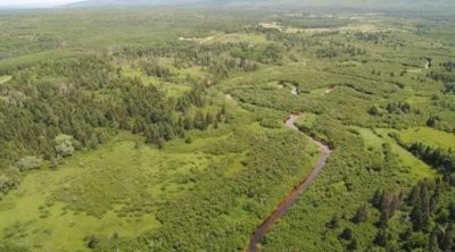 More protected lands in the Quad Counties