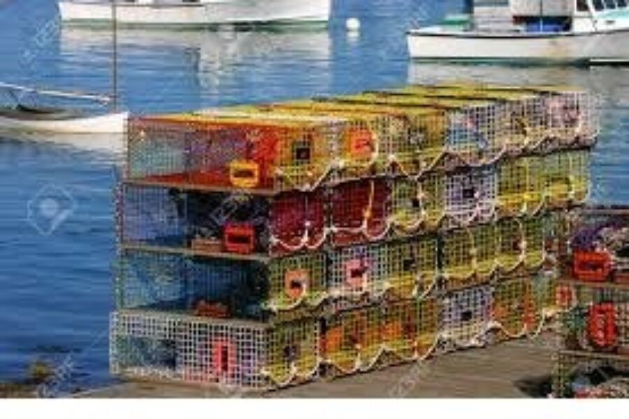 We’koqma’q reps won’t open fishery until 2021