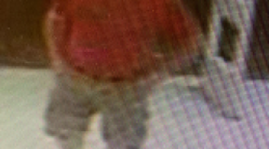 Port Hawkesbury sex assault case adjourned