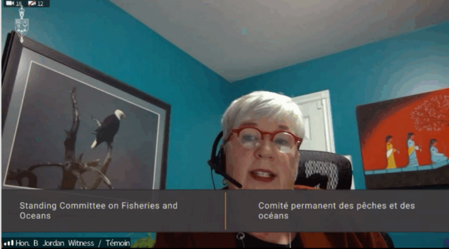 Jordan grilled at Commons committee meeting