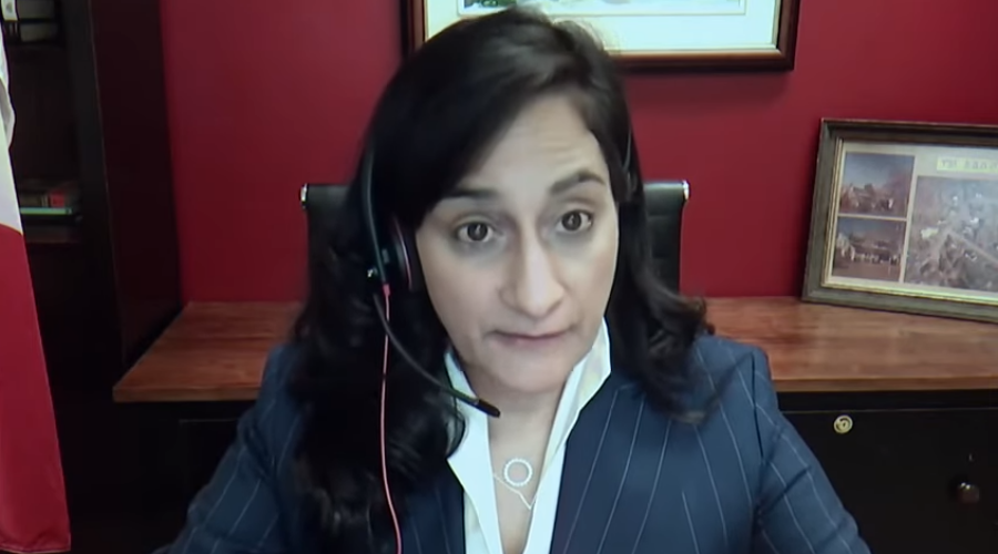 Pfizer vaccine shipment temporarily delayed: Anand