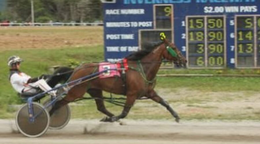 Harness racing returns to Inverness in June