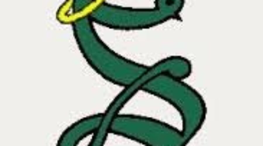 Cape Breton West High School Hockey League results