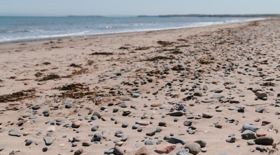 Local wilderness areas to be protected