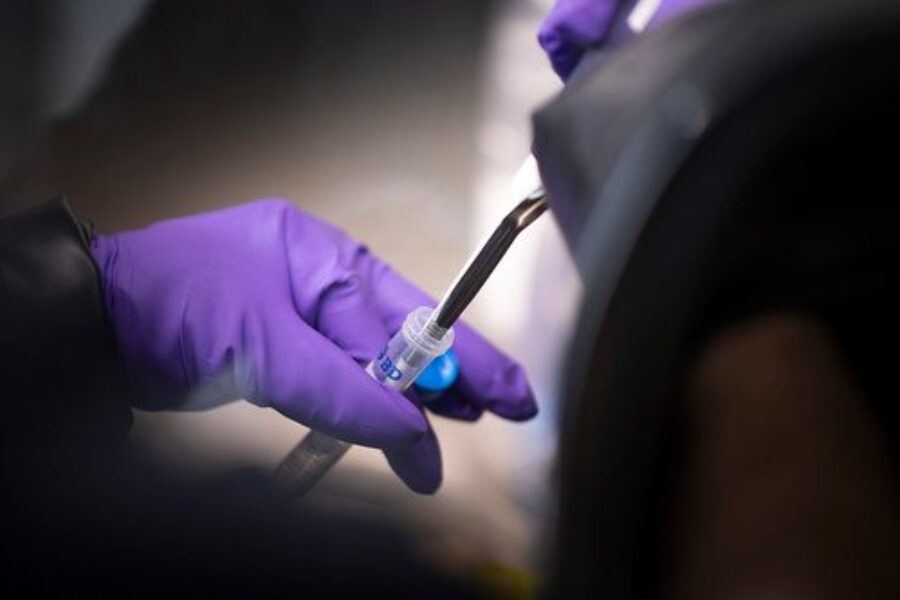 Variants could double case counts: Tam