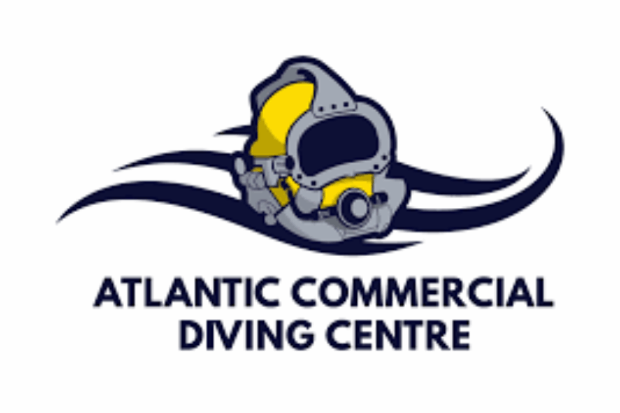 Council gets on-board with deep dive platform
