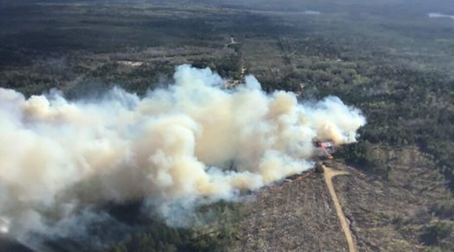 Provincial wildfire season underway
