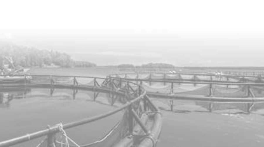 Local First Nation gets seafood production funding