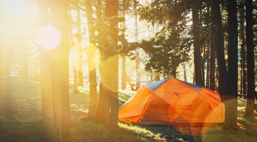Book a Provincial campsite starting today!