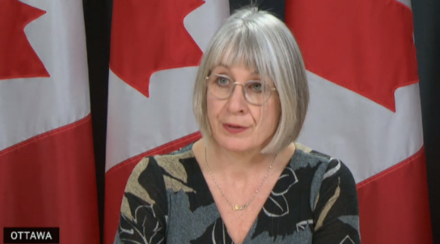 Canada not out of the woods- Hajdu