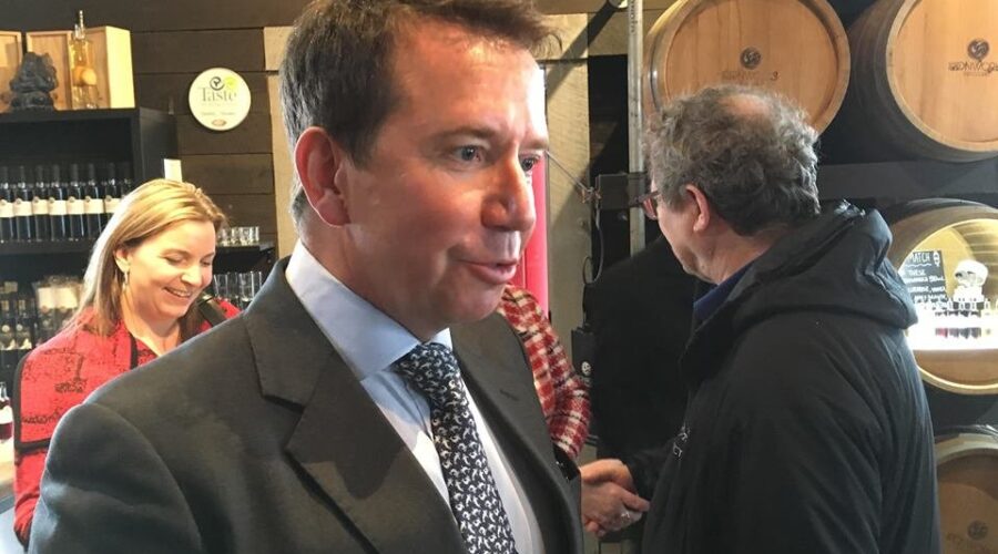 Former federal cabinet minister to lead growth council