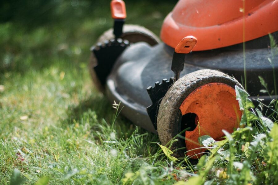Help the Bees With Slow Mow May