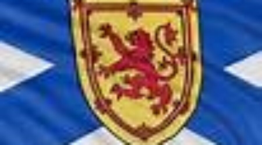 High court blocks ‘Freedom Rallies”