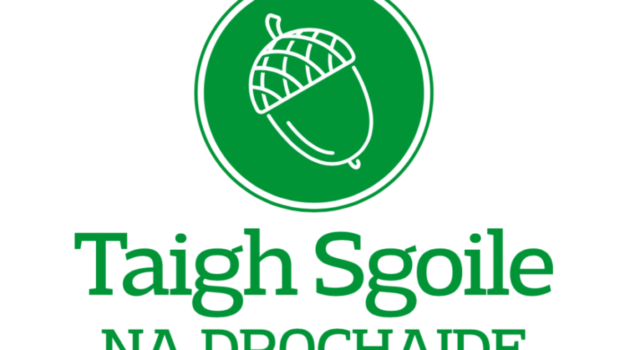 First Gaelic immersion school coming to Quad Counties