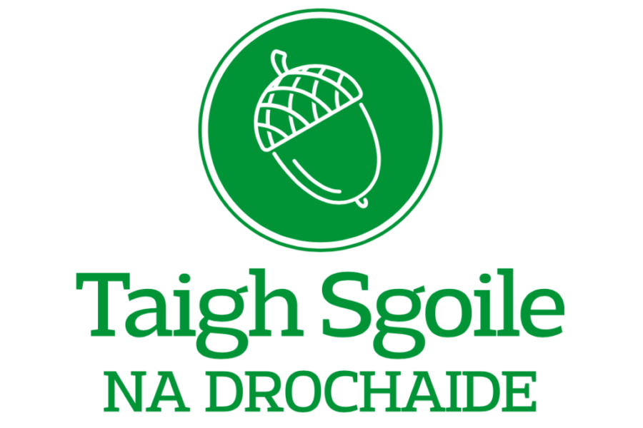First Gaelic immersion school coming to Quad Counties