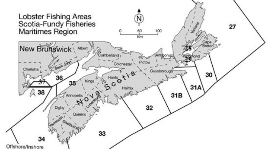 Lobster season delayed in parts of Quad Counties