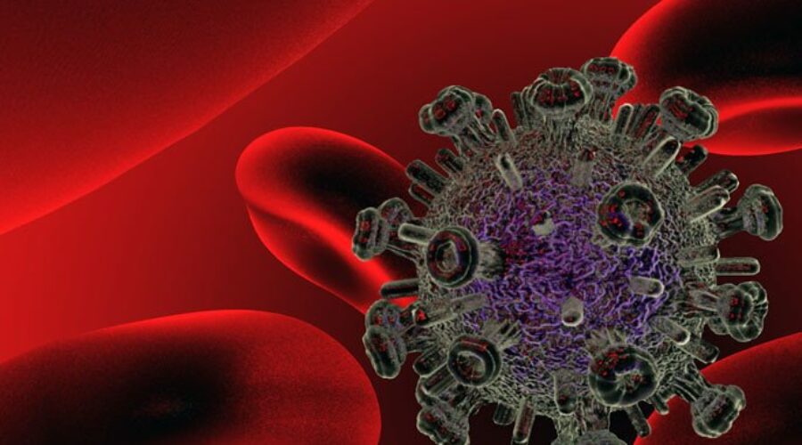 12 new COVID cases, 204 active (June 6)