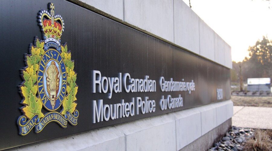 No charges following possible Judique gunfire