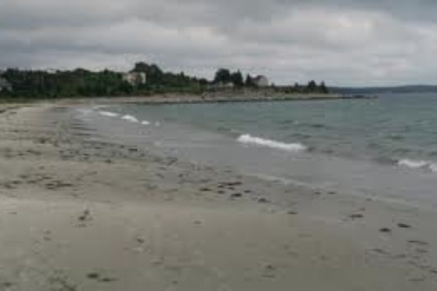 Lifeguards to supervise beaches starting Canada Day