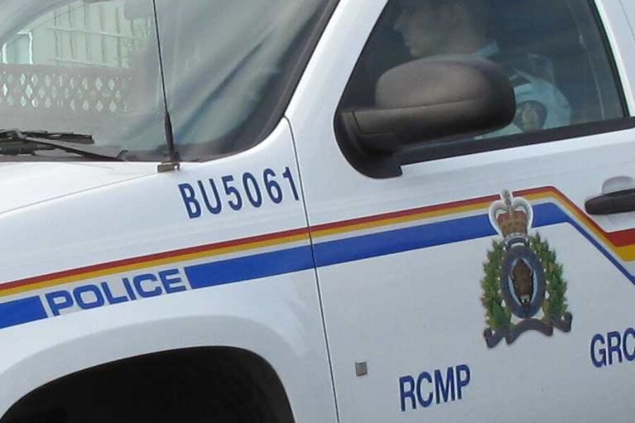 Two arrested after police disable vehicle with spike strip